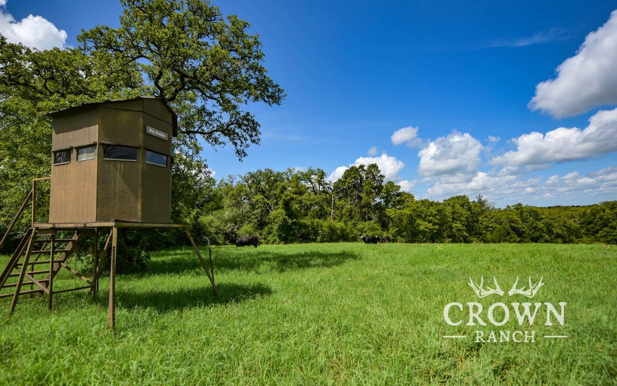TBD FM 908 (+/-1,057 acres), Caldwell, TX 77836