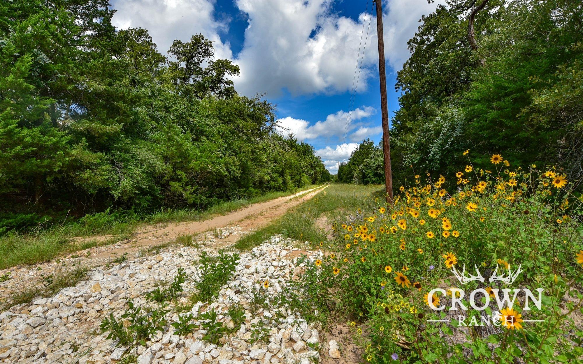 TBD FM 908 (+/-1,057 acres), Caldwell, TX 77836