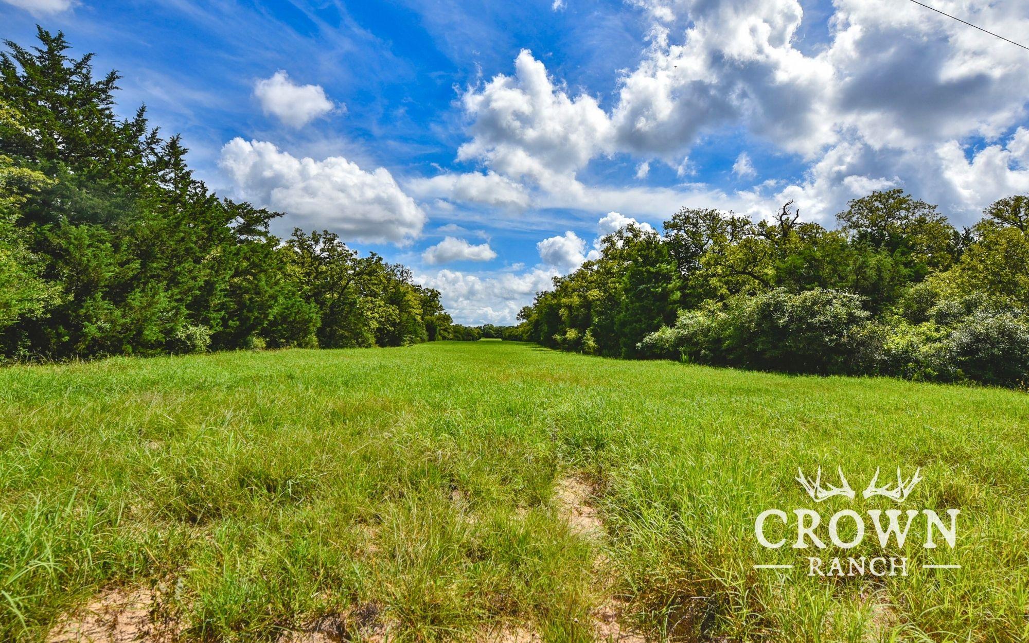 TBD FM 908 (+/-1,057 acres), Caldwell, TX 77836