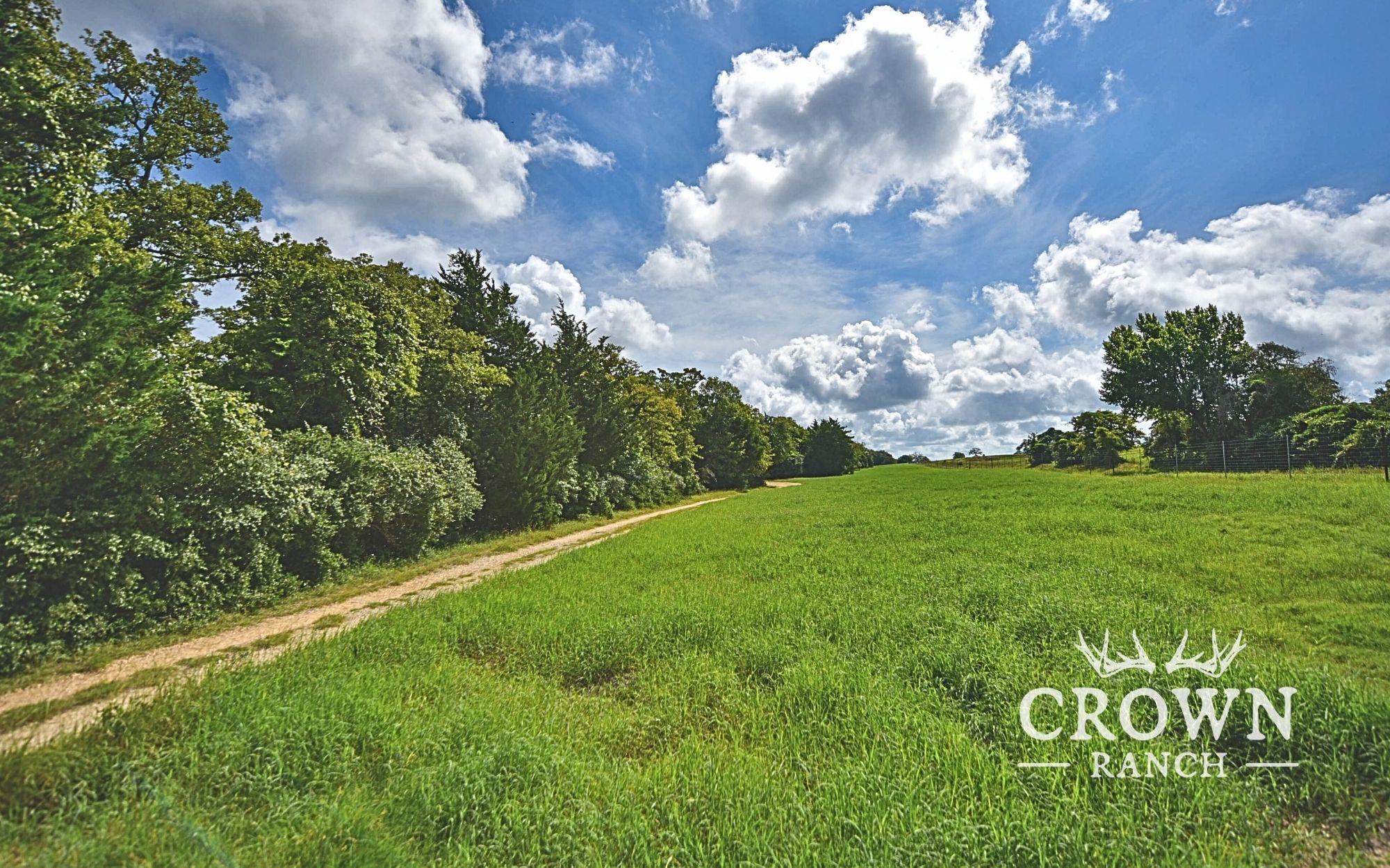 TBD FM 908 (+/-1,057 acres), Caldwell, TX 77836