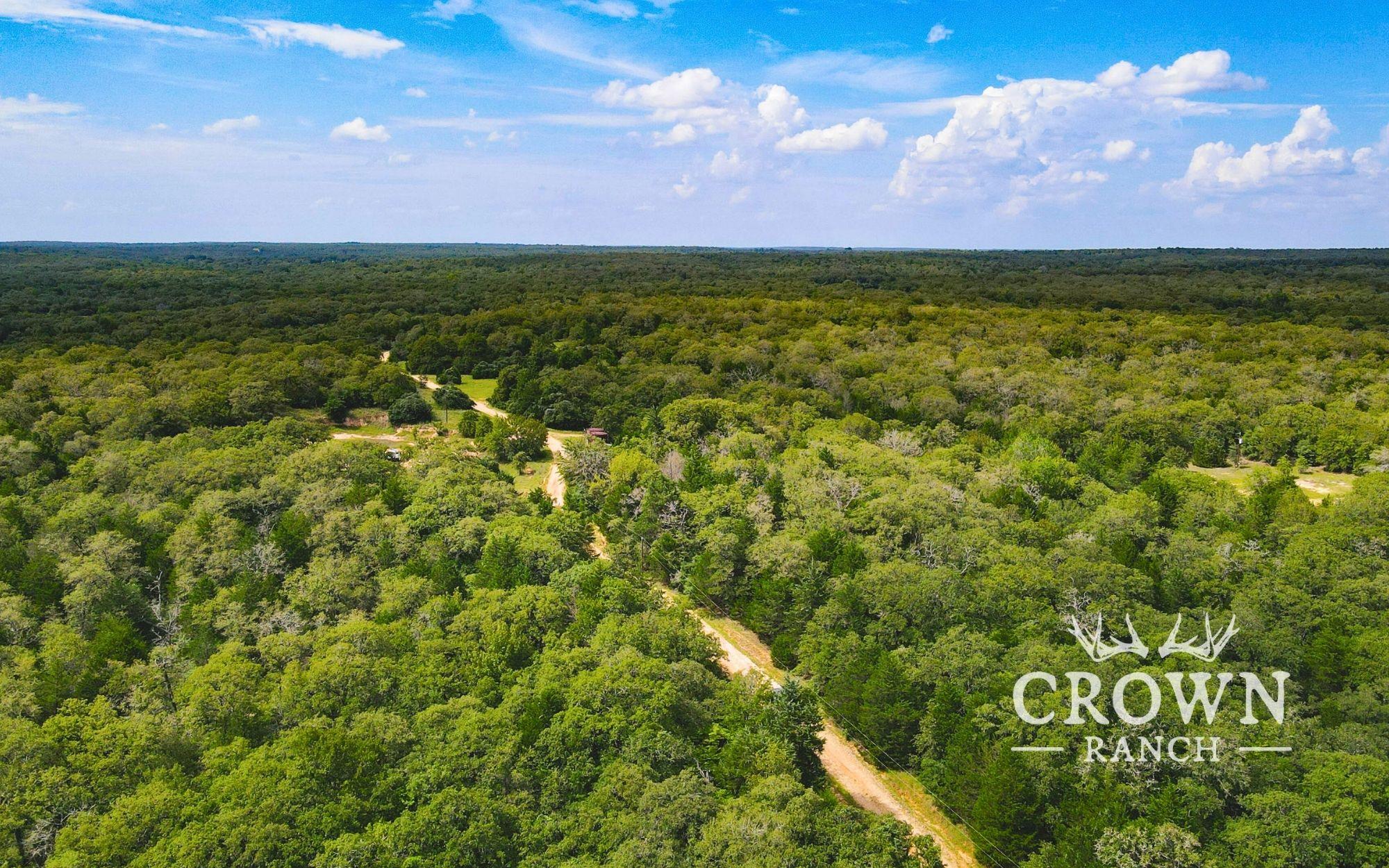 TBD FM 908 (+/-1,057 acres), Caldwell, TX 77836