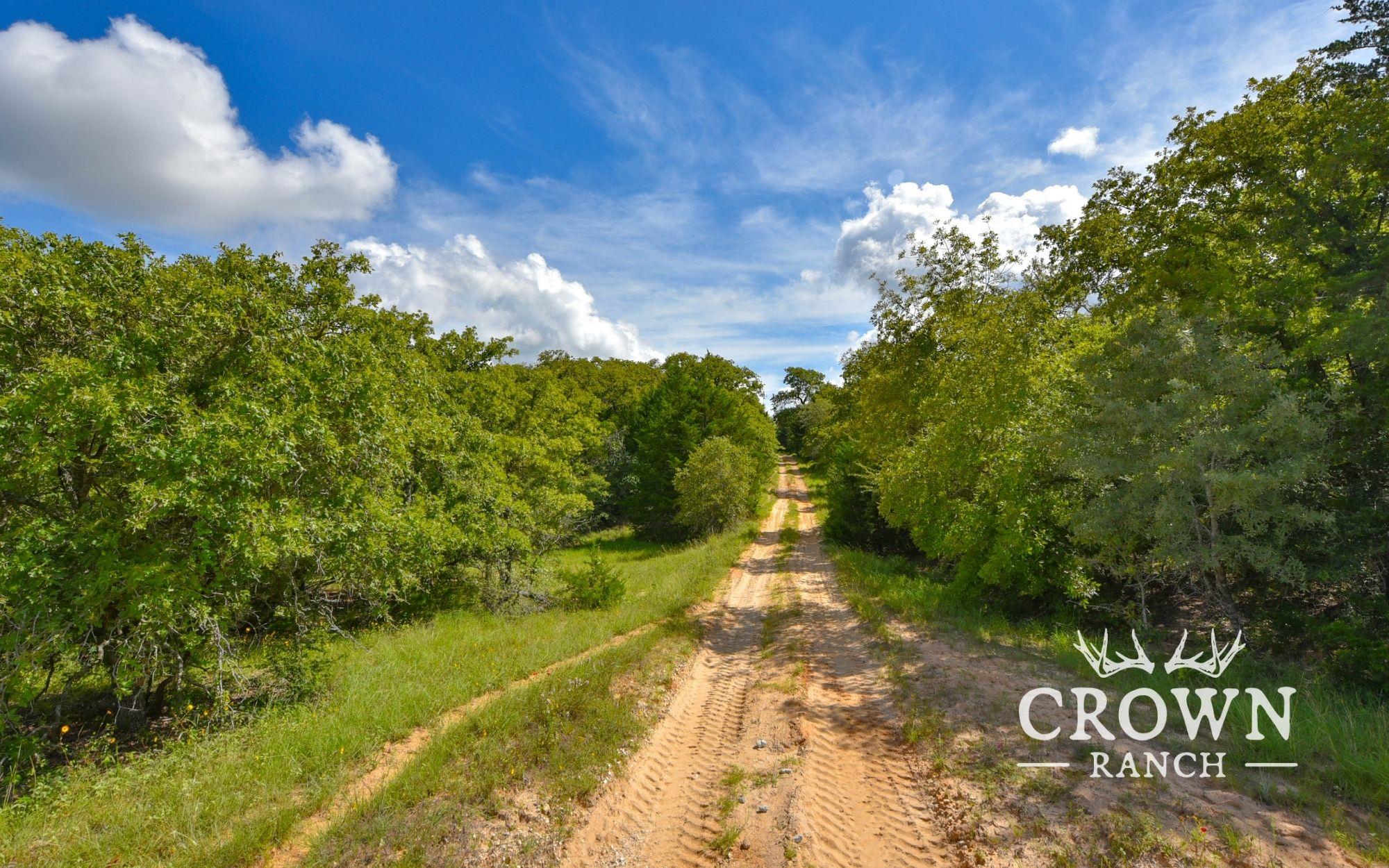 TBD FM 908 (+/-1,057 acres), Caldwell, TX 77836