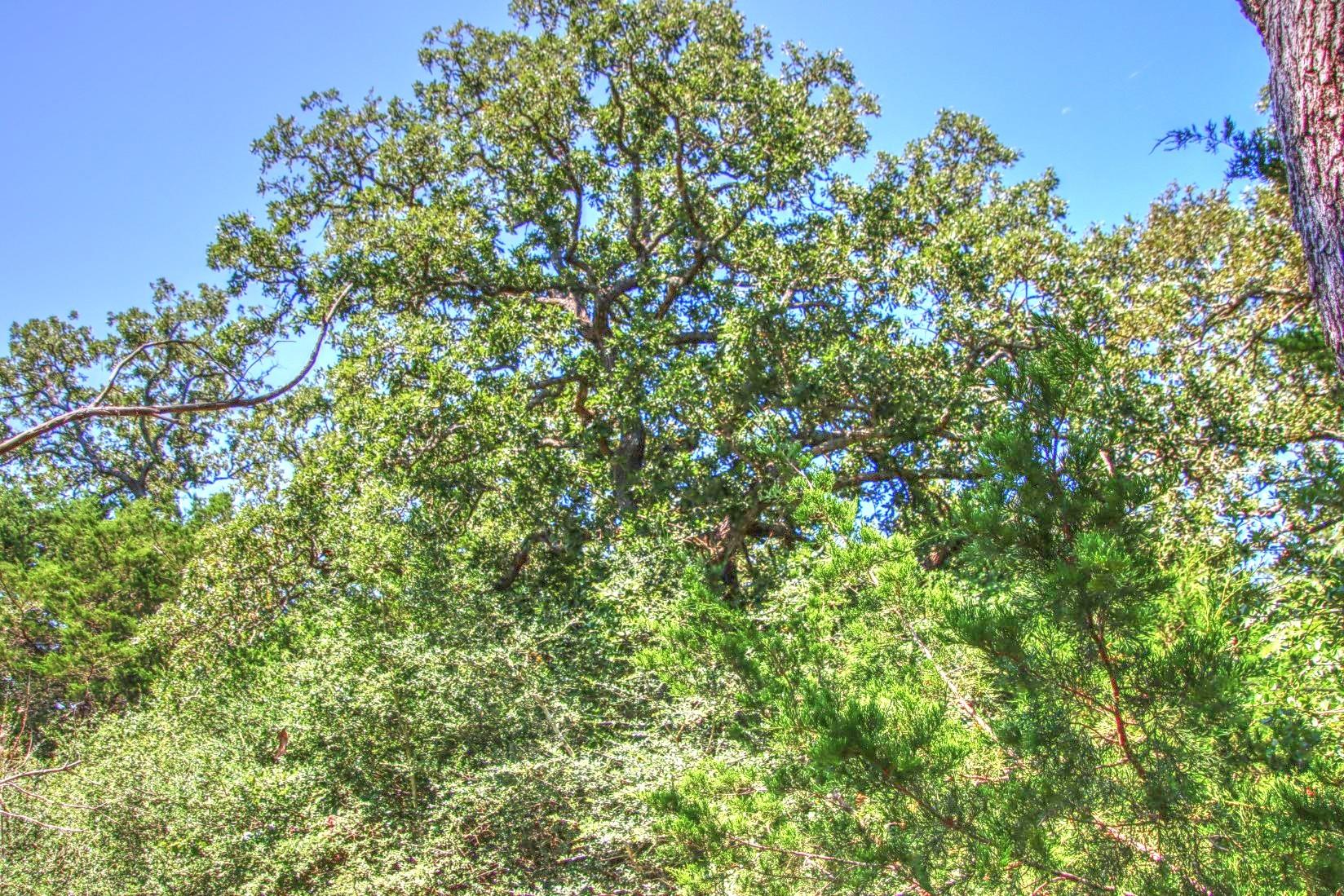 0 Hellinger Rd, Flatonia, TX 78941