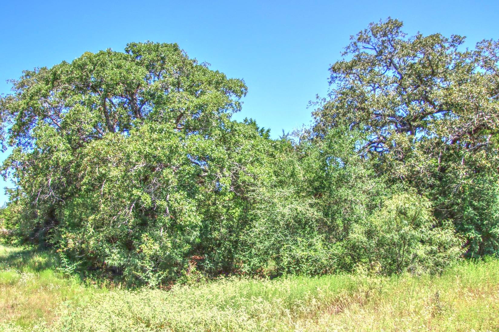 0 Hellinger Rd, Flatonia, TX 78941