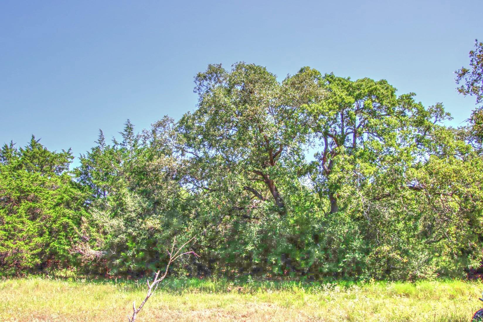 0 Hellinger Rd, Flatonia, TX 78941