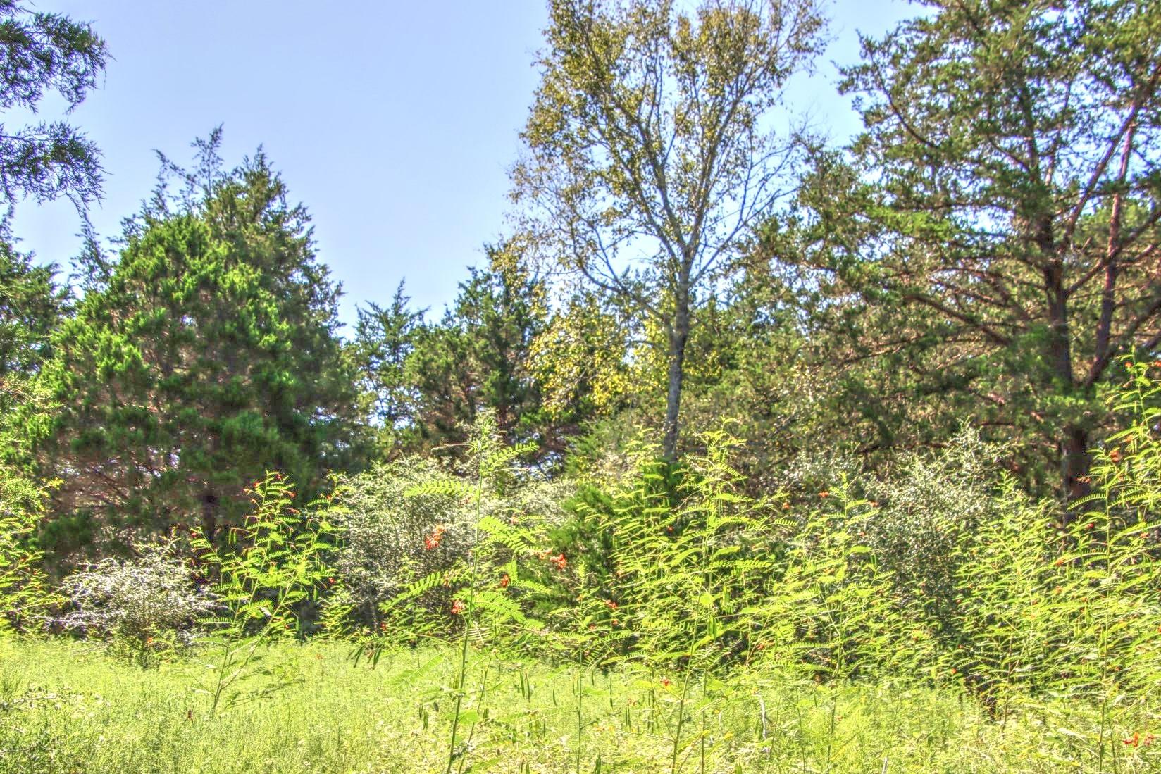 0 Hellinger Rd, Flatonia, TX 78941