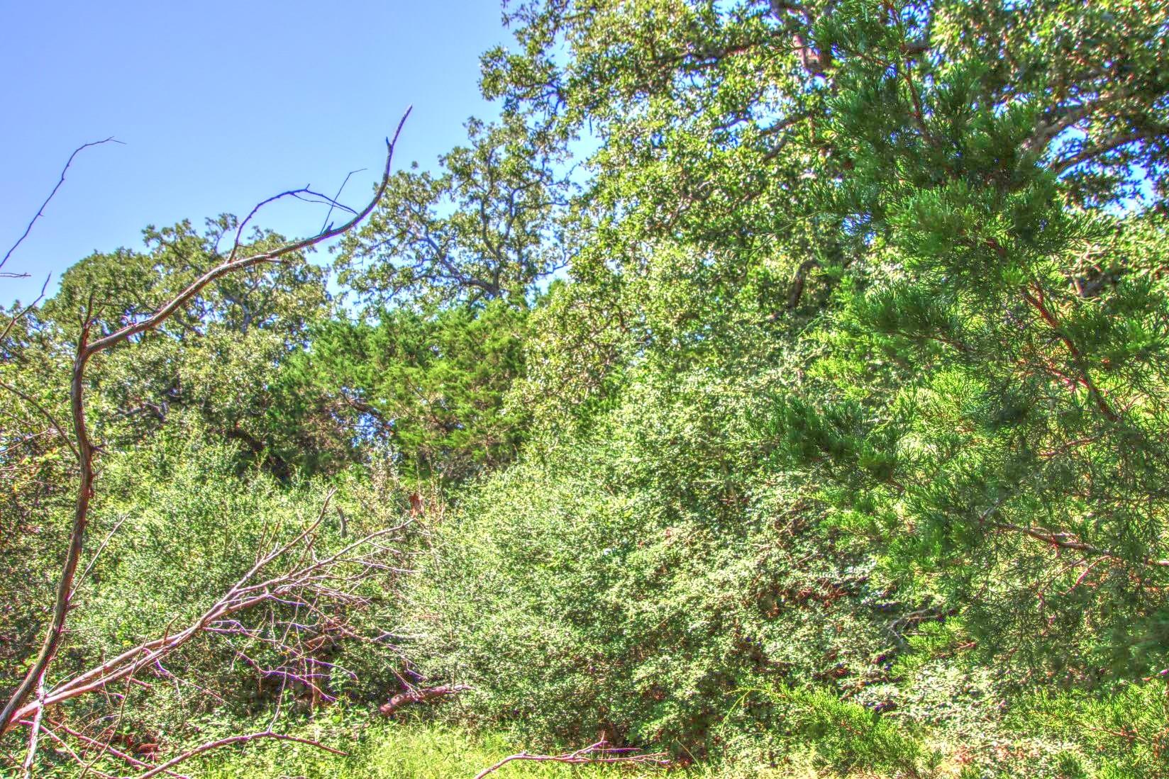 0 Hellinger Rd, Flatonia, TX 78941