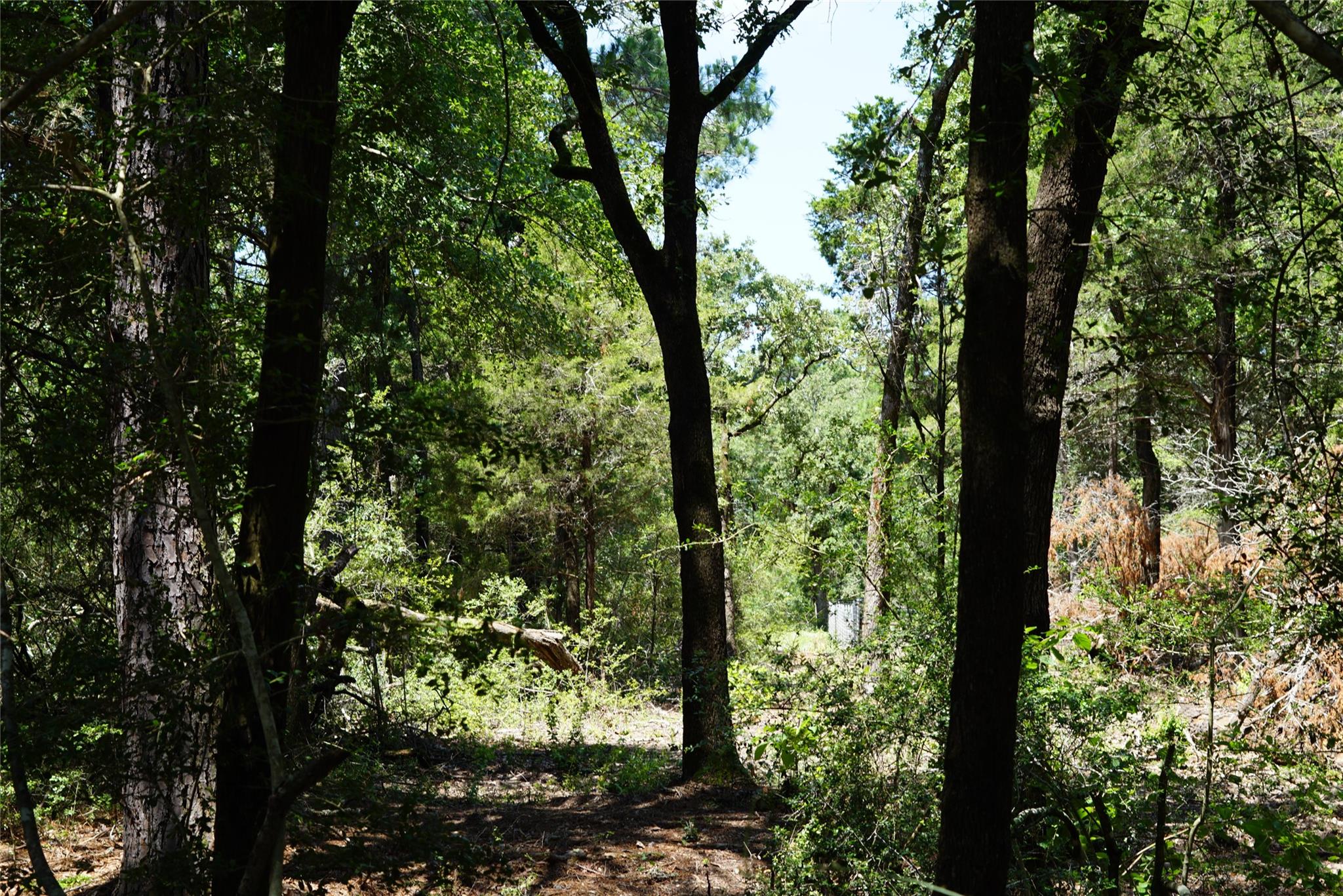 5548 County Road 322, Rockdale, TX 76567