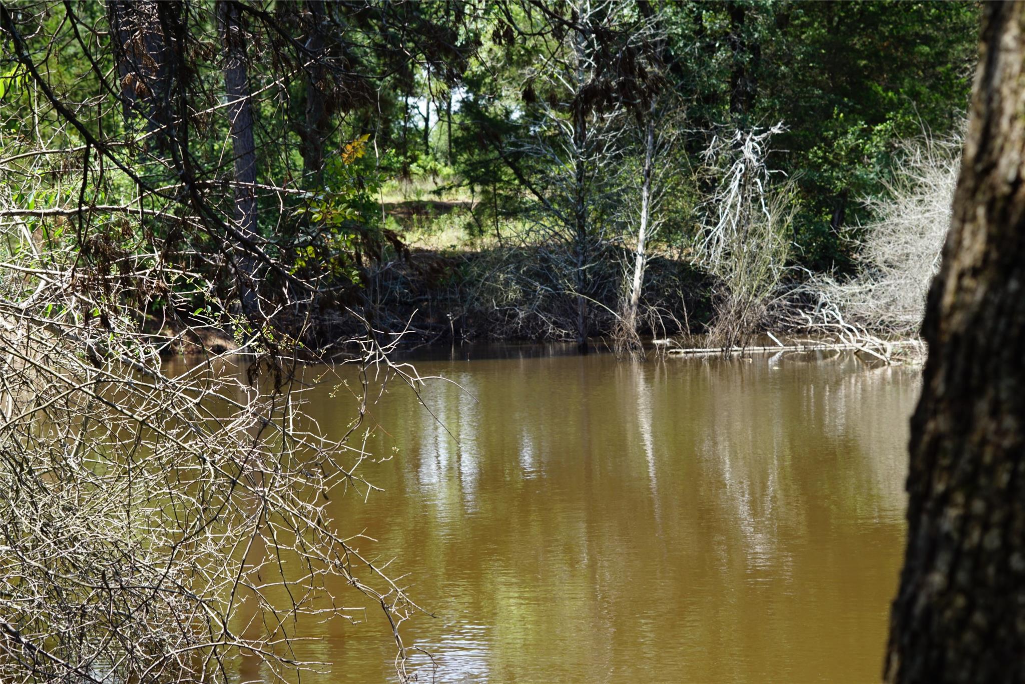 5548 County Road 322, Rockdale, TX 76567