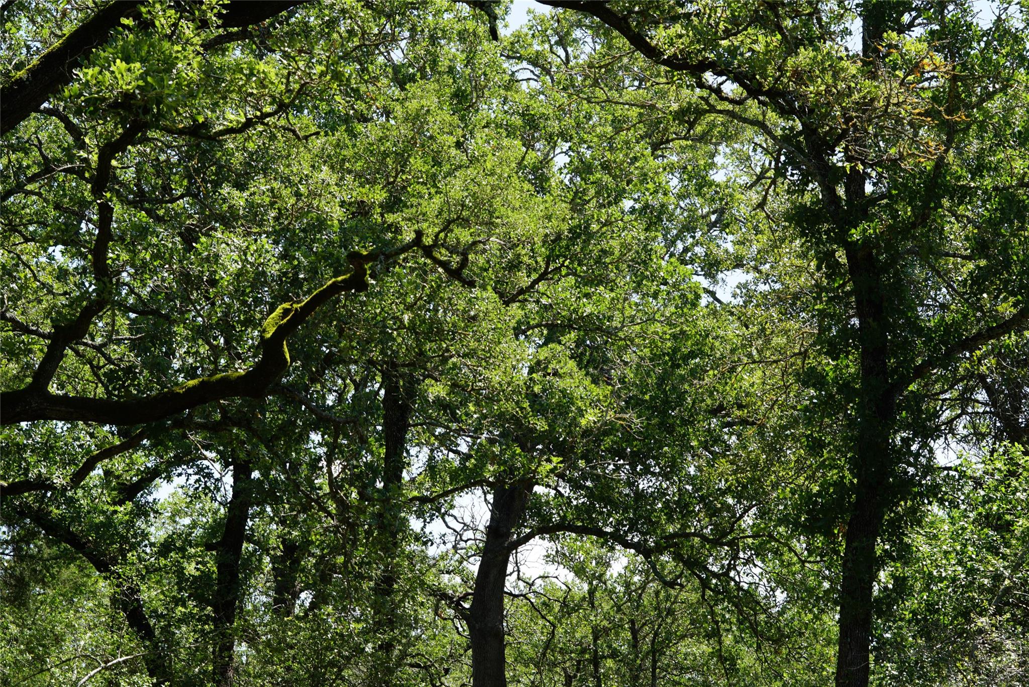 5548 County Road 322, Rockdale, TX 76567