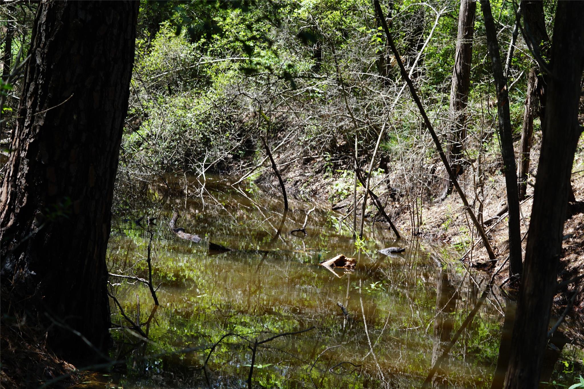 5548 County Road 322, Rockdale, TX 76567