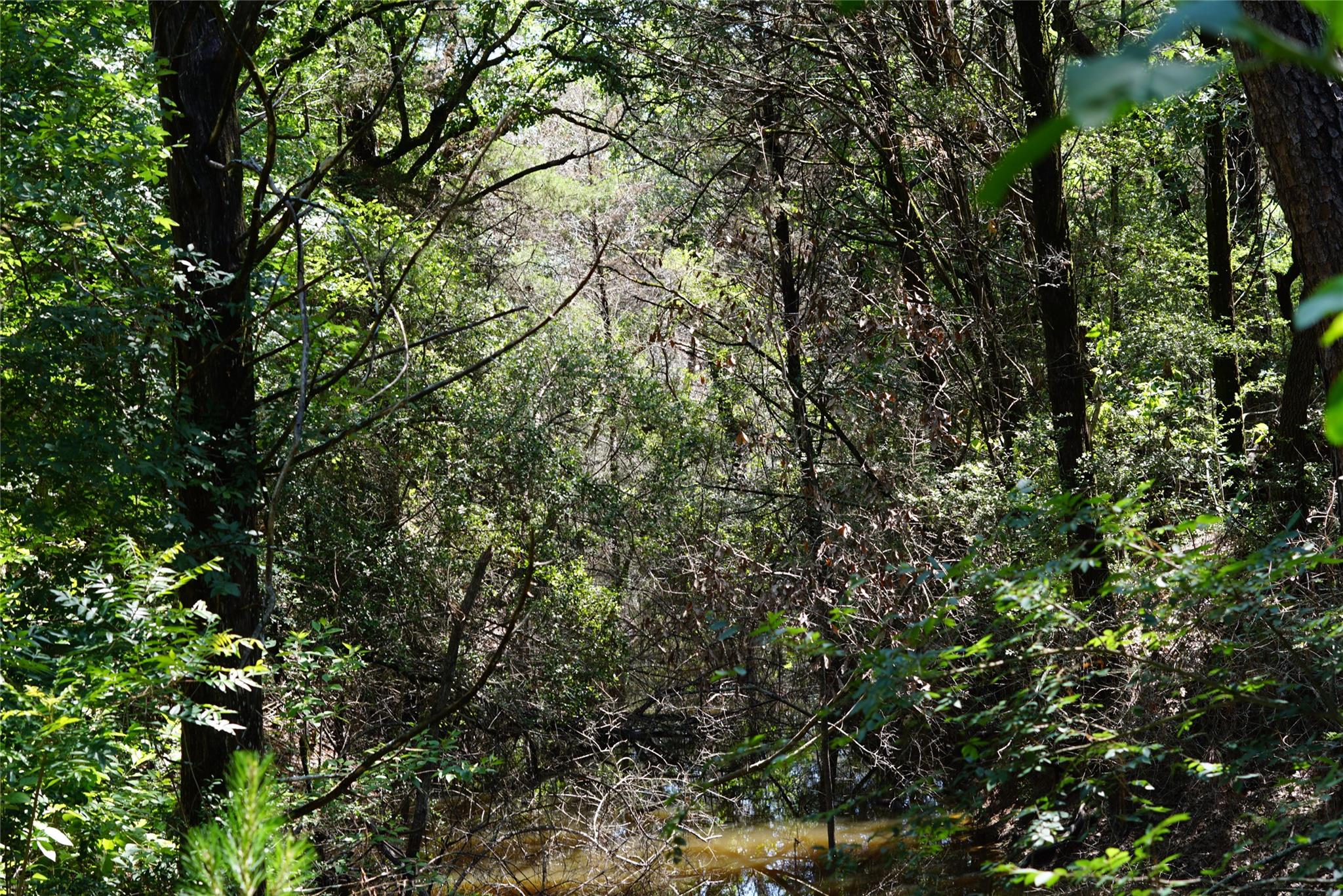 5548 County Road 322, Rockdale, TX 76567