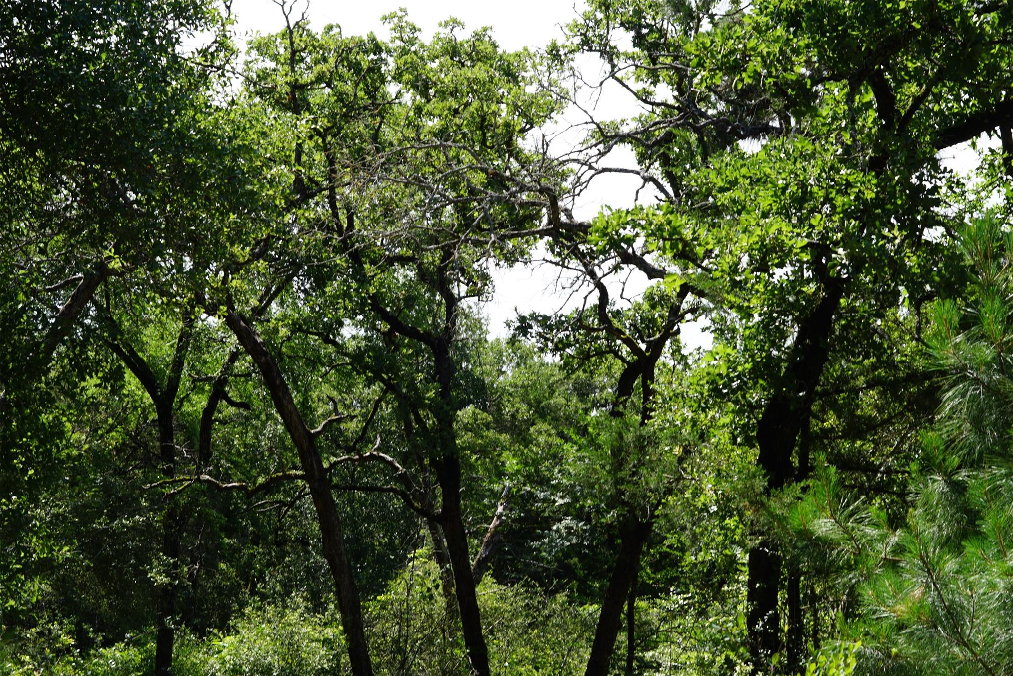 5548 County Road 322, Rockdale, TX 76567