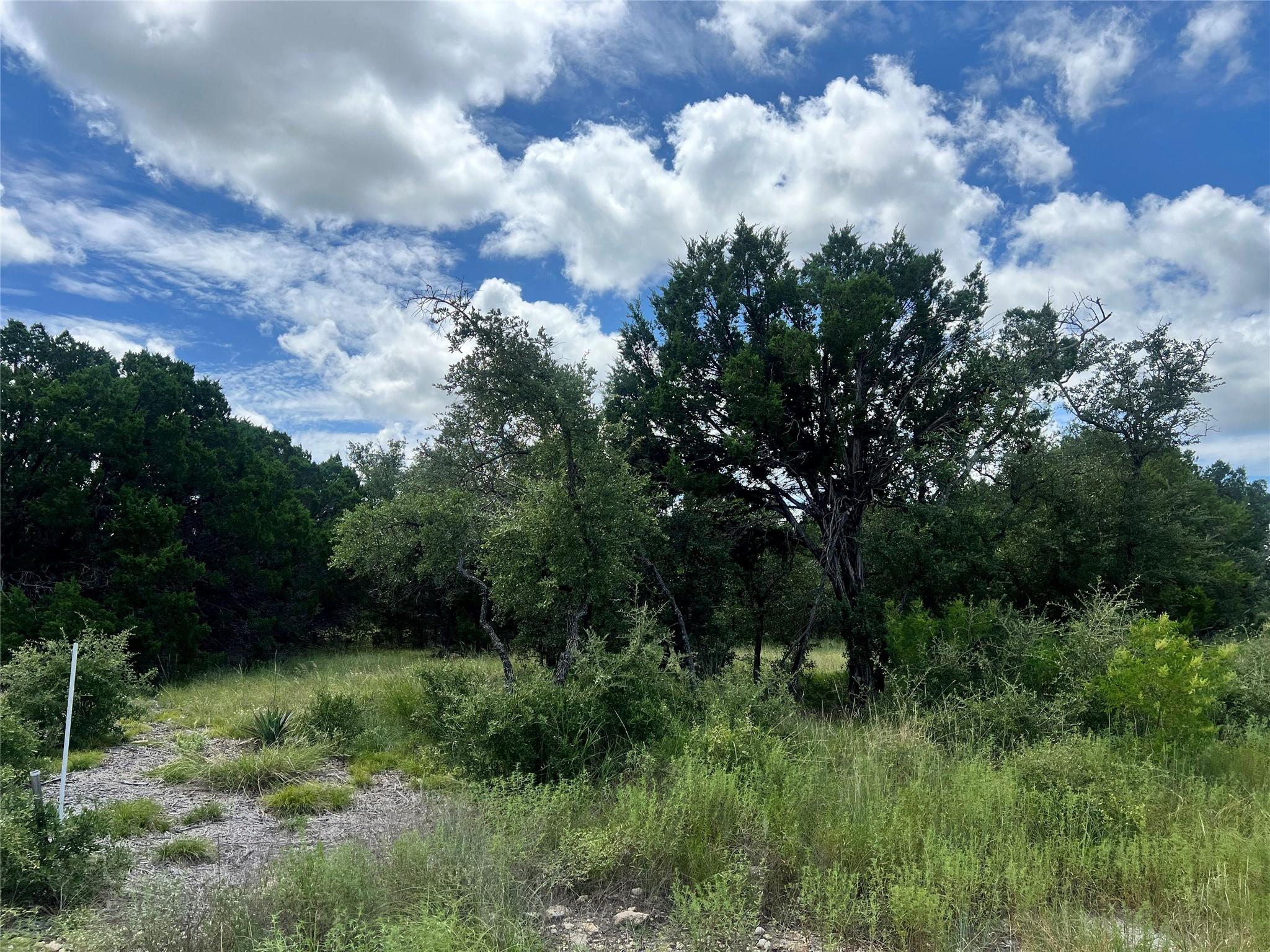 2452 Stone Creek Ranch Dr, Evant, TX 76525