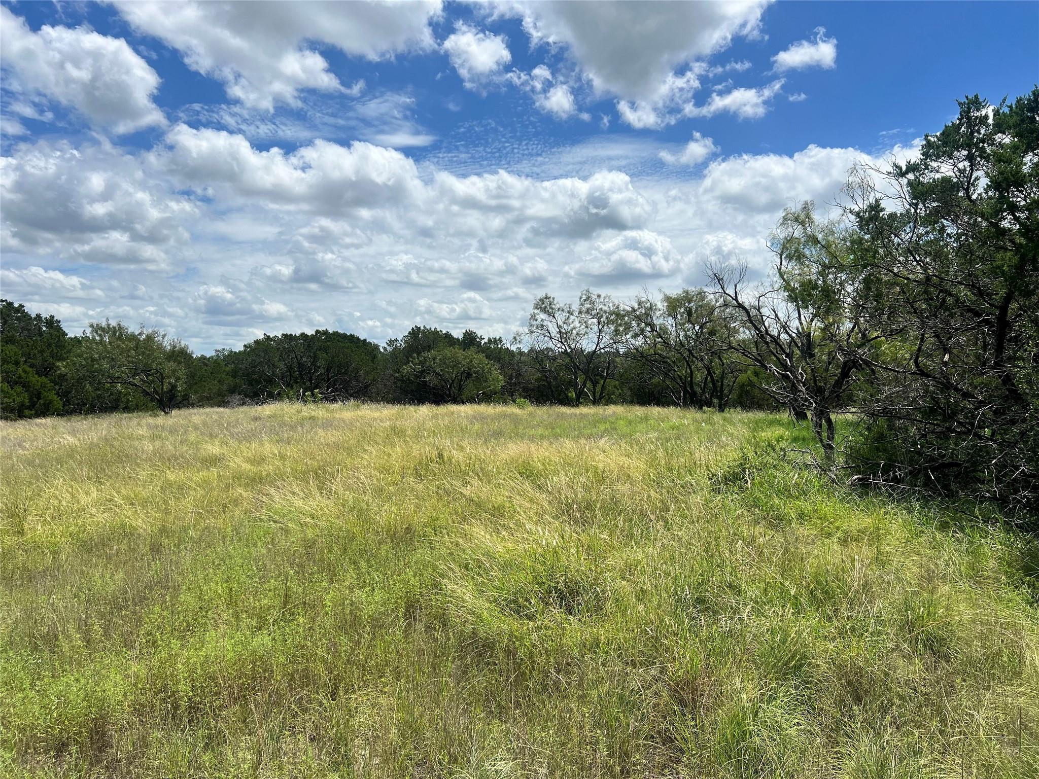 2452 Stone Creek Ranch Dr, Evant, TX 76525