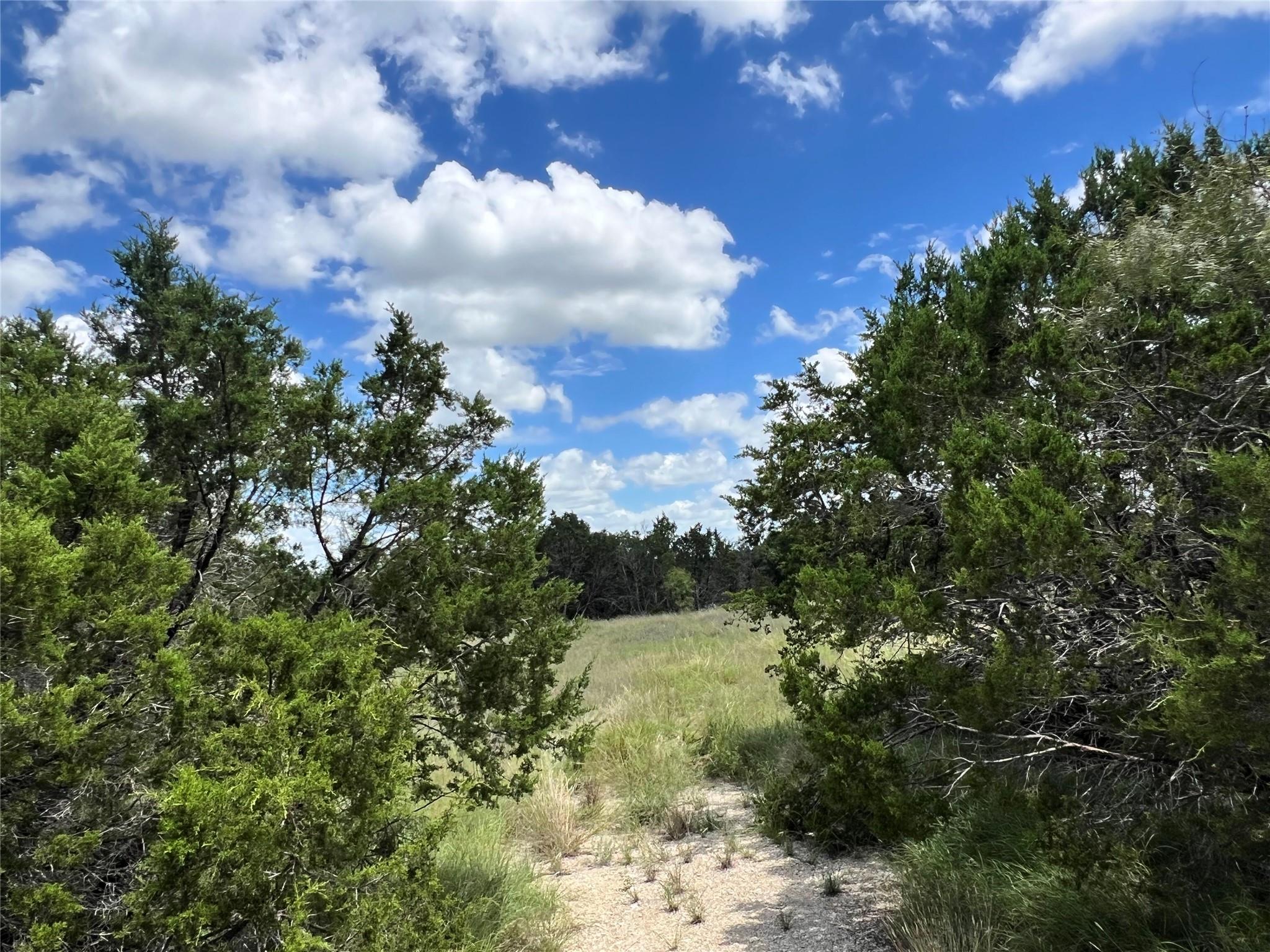 2452 Stone Creek Ranch Dr, Evant, TX 76525