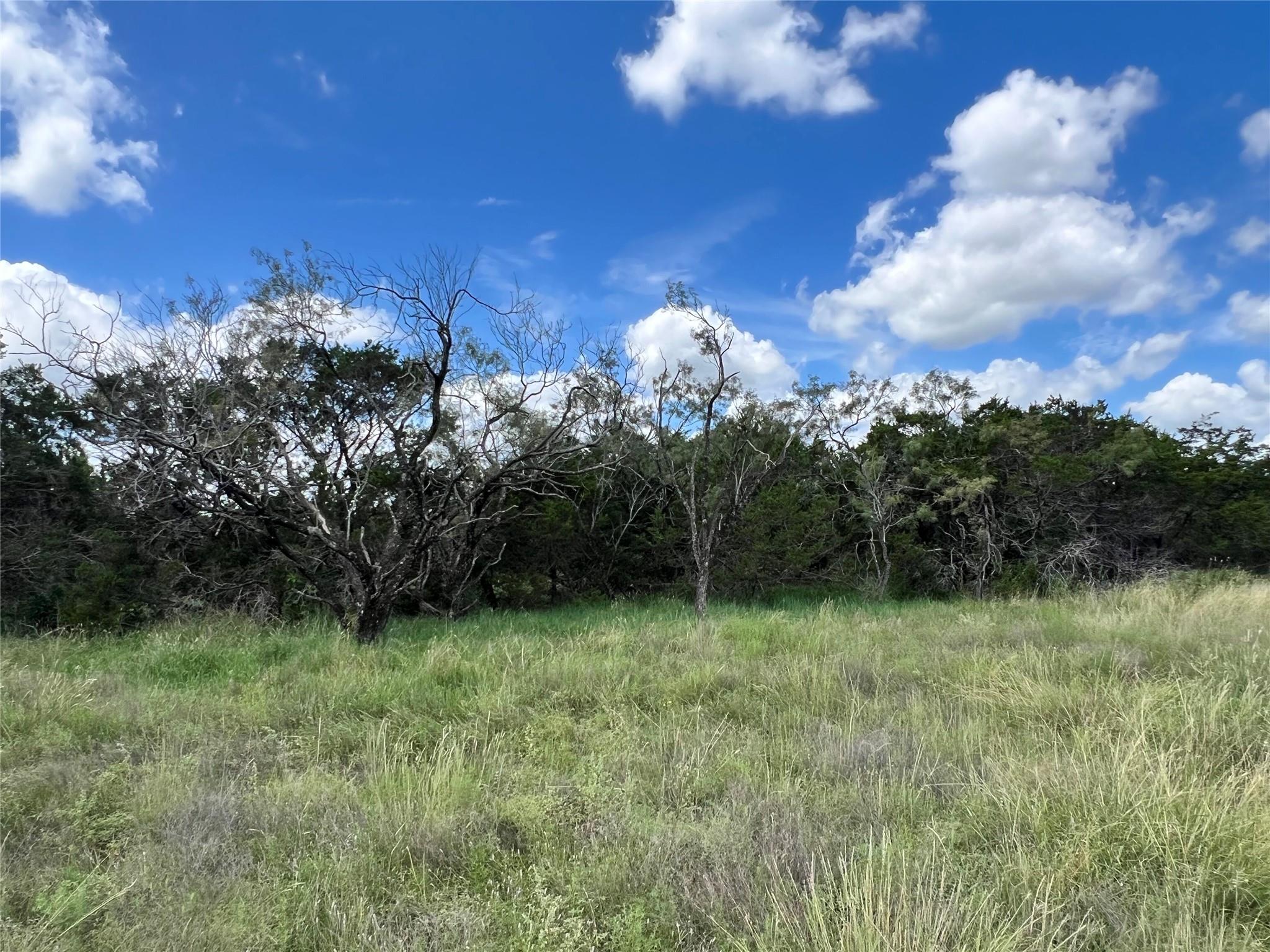 2452 Stone Creek Ranch Dr, Evant, TX 76525