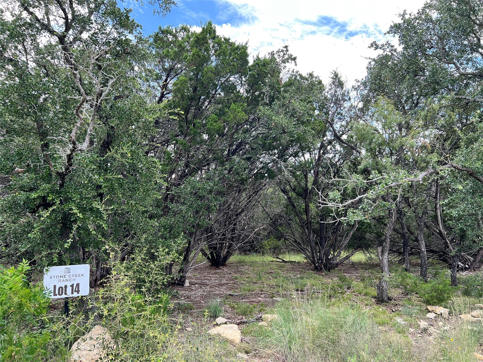 2452 Stone Creek Ranch Dr, Evant, TX 76525