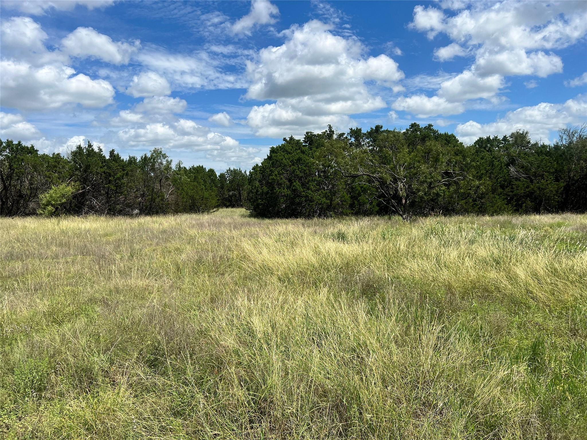 2452 Stone Creek Ranch Dr, Evant, TX 76525