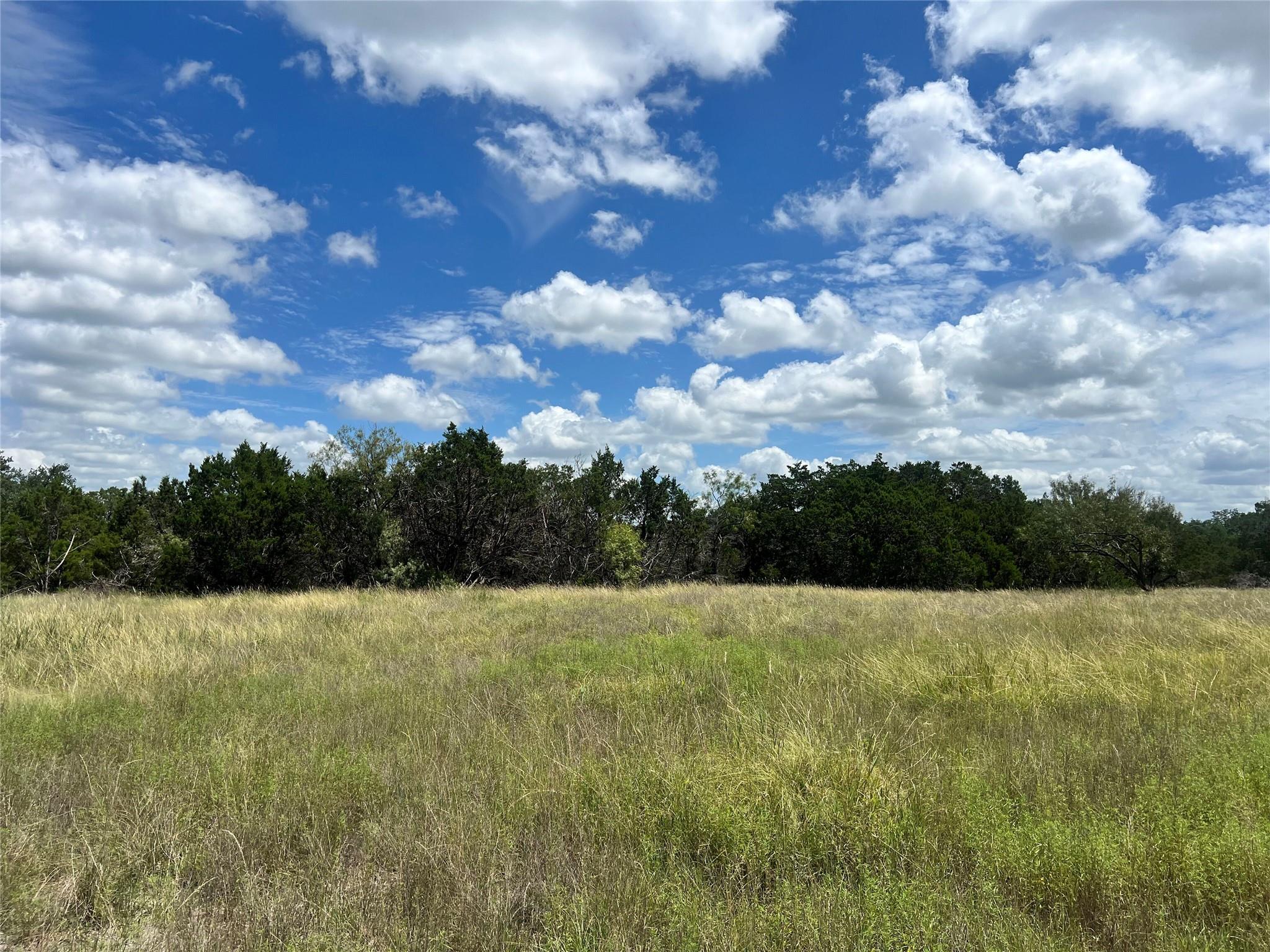 2452 Stone Creek Ranch Dr, Evant, TX 76525