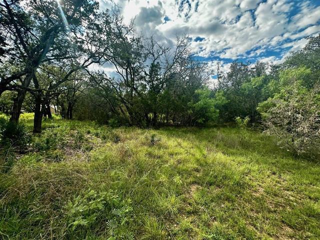 712 Coventry Rd, Spicewood, TX 78669