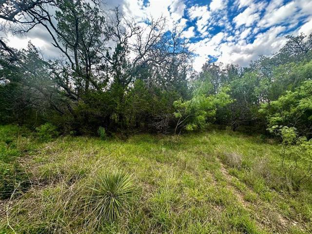 712 Coventry Rd, Spicewood, TX 78669