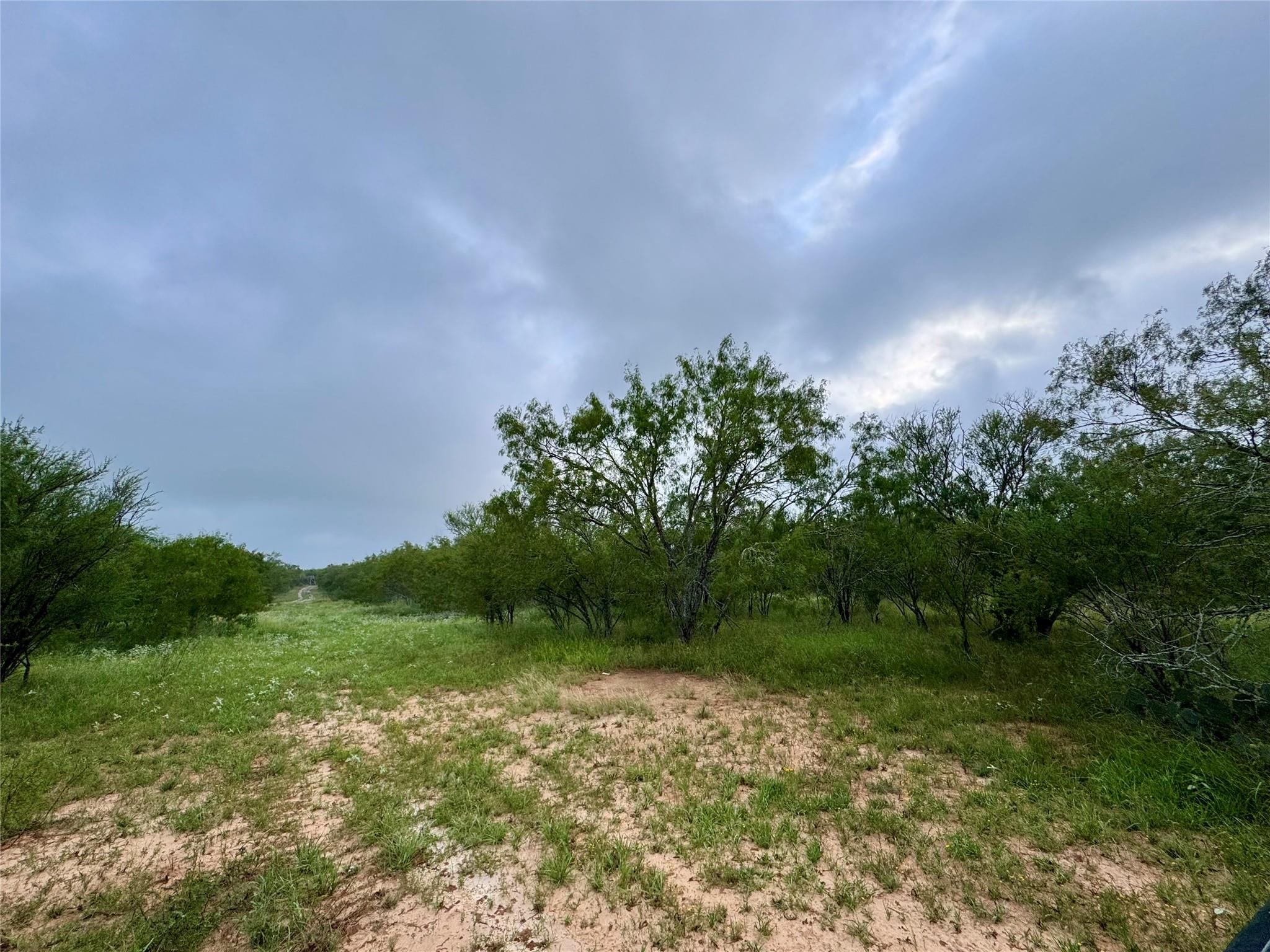NA CR 171, Nixon, TX 78140