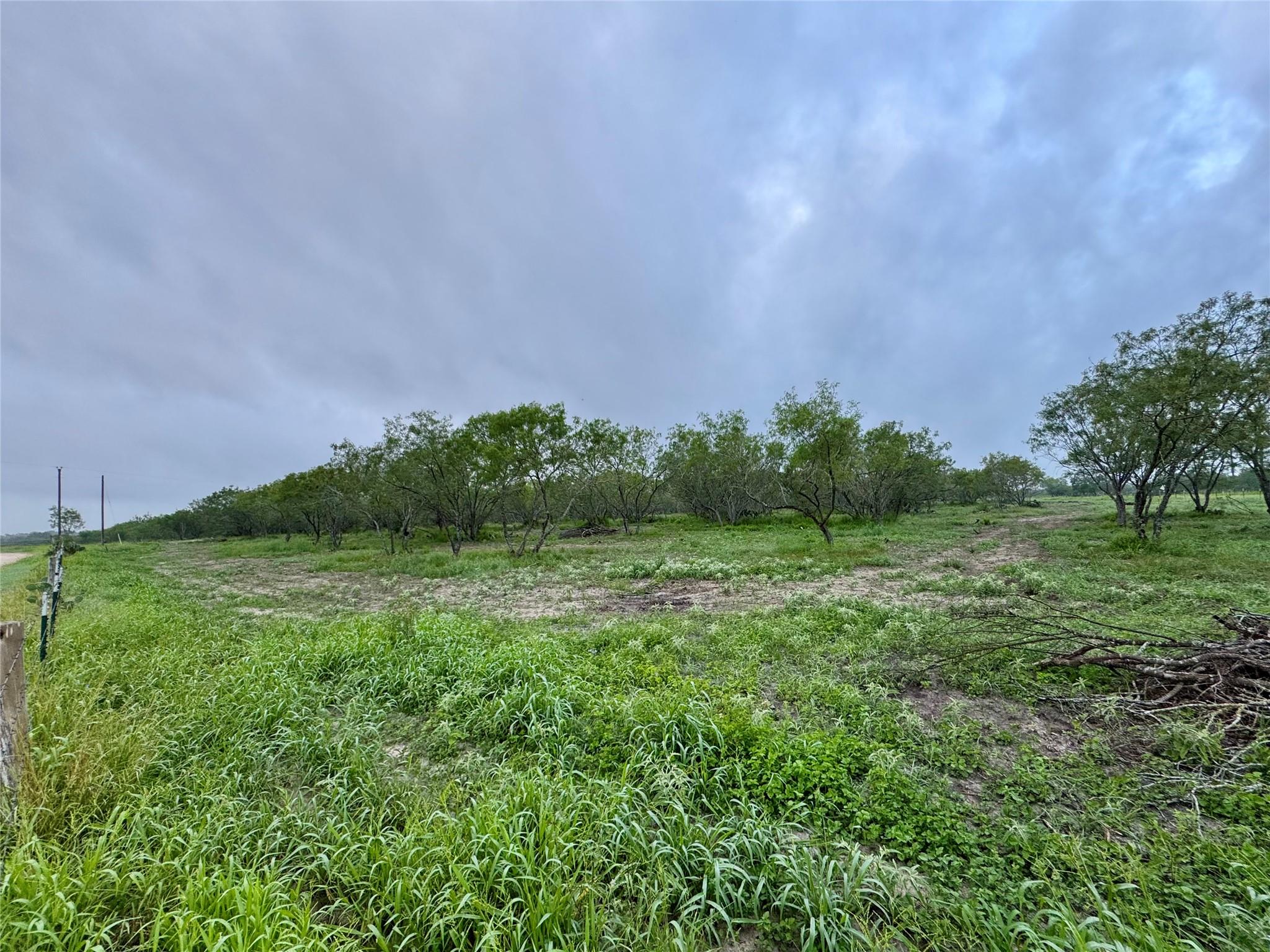 NA CR 171, Nixon, TX 78140