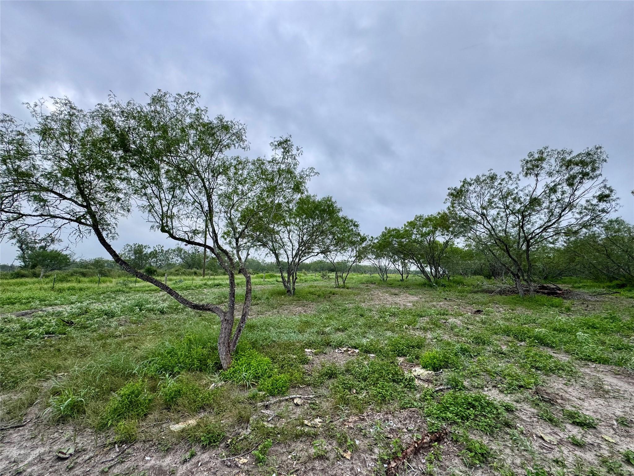 NA CR 171, Nixon, TX 78140