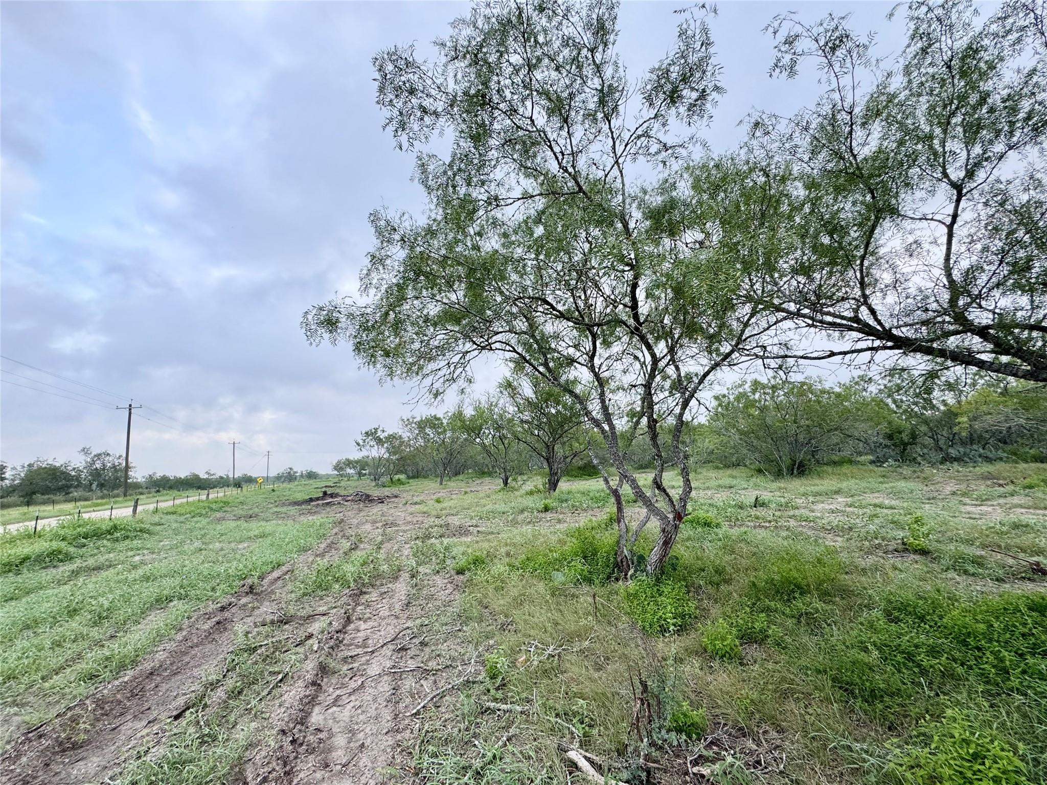 NA CR 171, Nixon, TX 78140