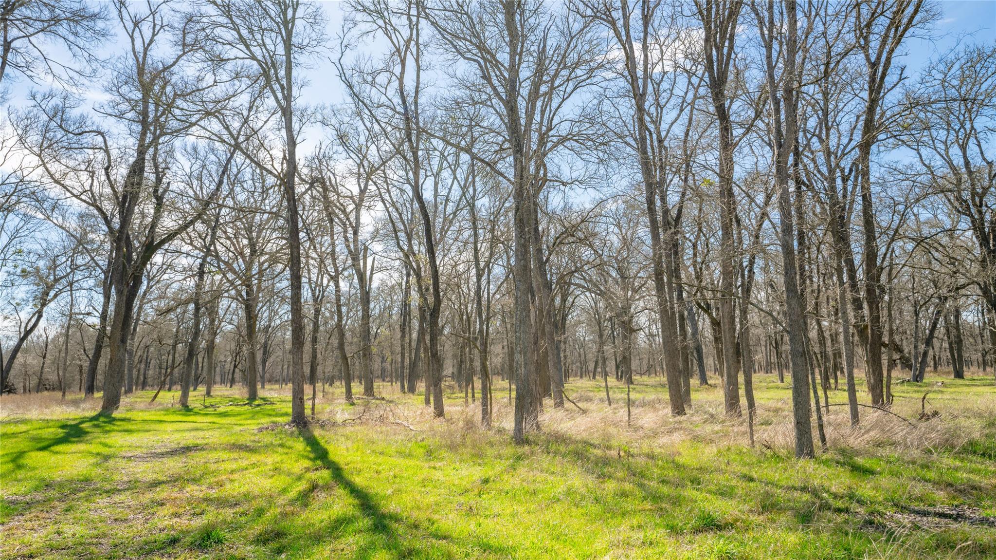 0000-B CR 219, Cameron, TX 76520