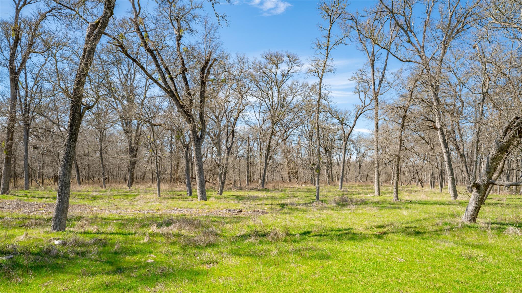 0000-B CR 219, Cameron, TX 76520