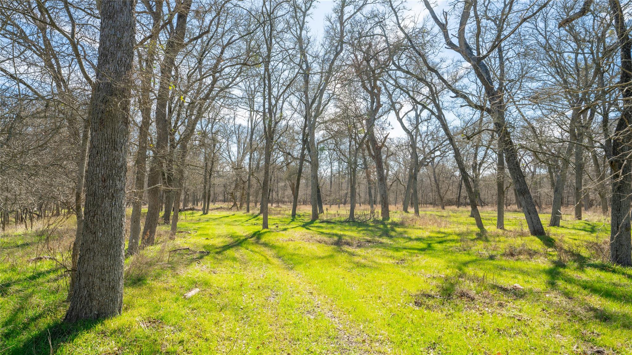 0000-B CR 219, Cameron, TX 76520