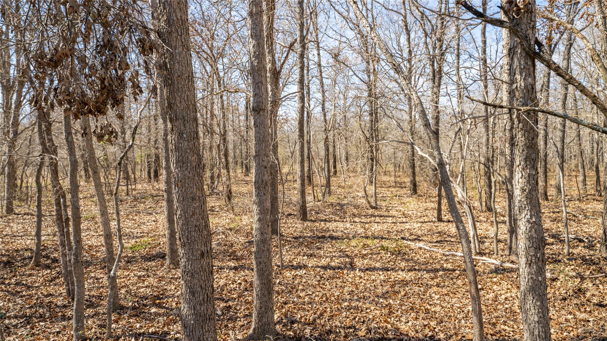 0000-B CR 219, Cameron, TX 76520