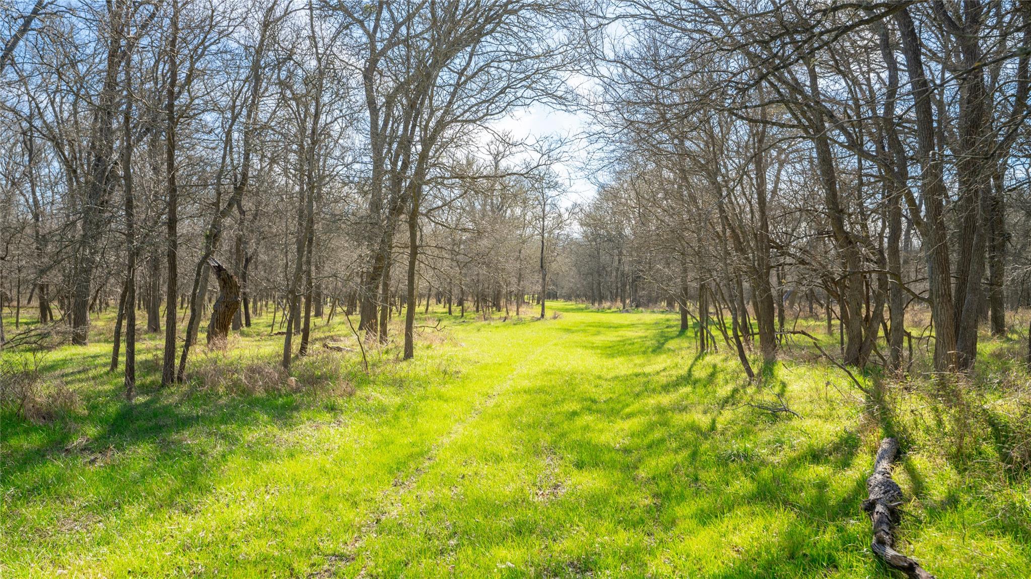 0000-B CR 219, Cameron, TX 76520