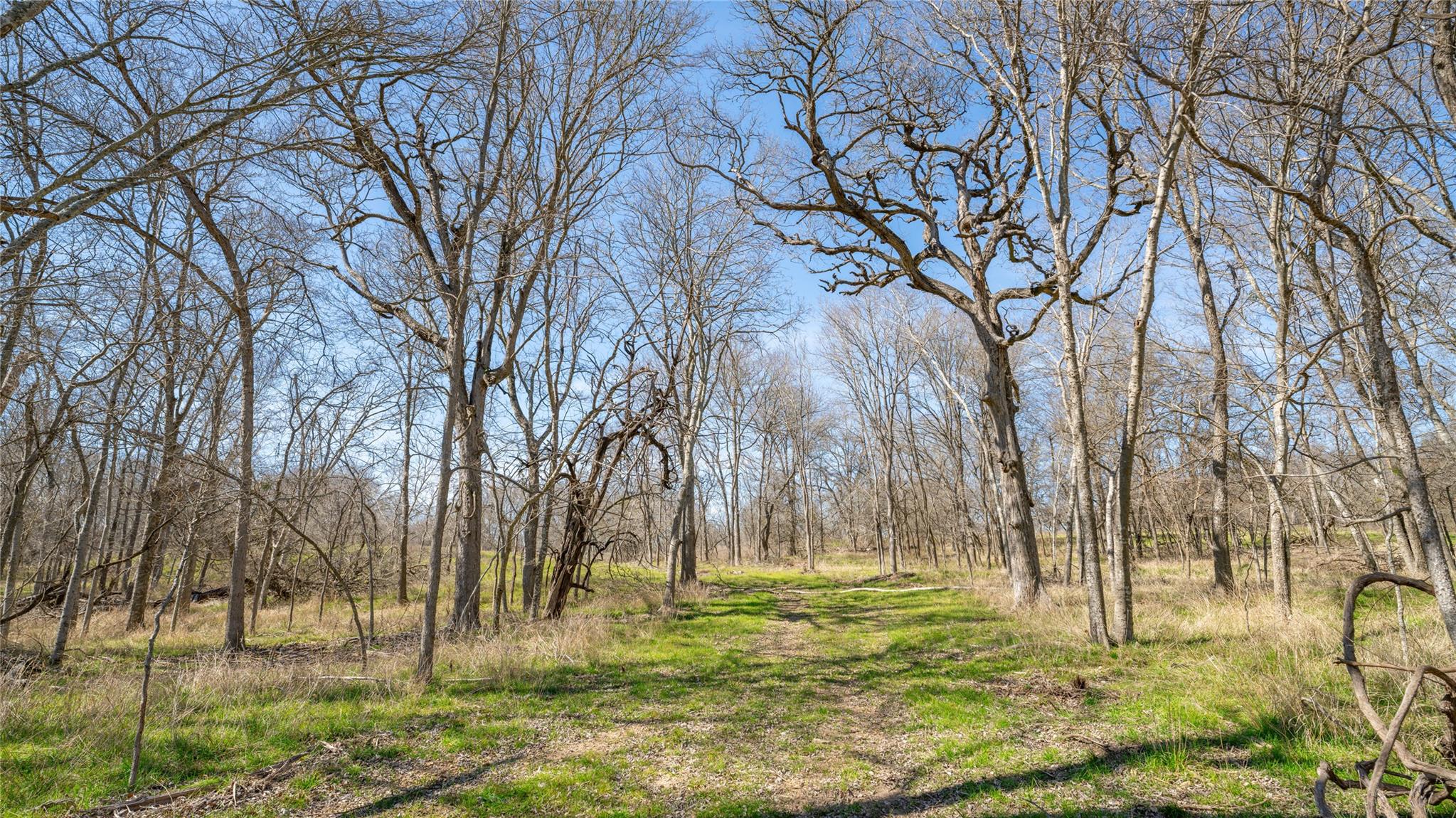 0000-B CR 219, Cameron, TX 76520