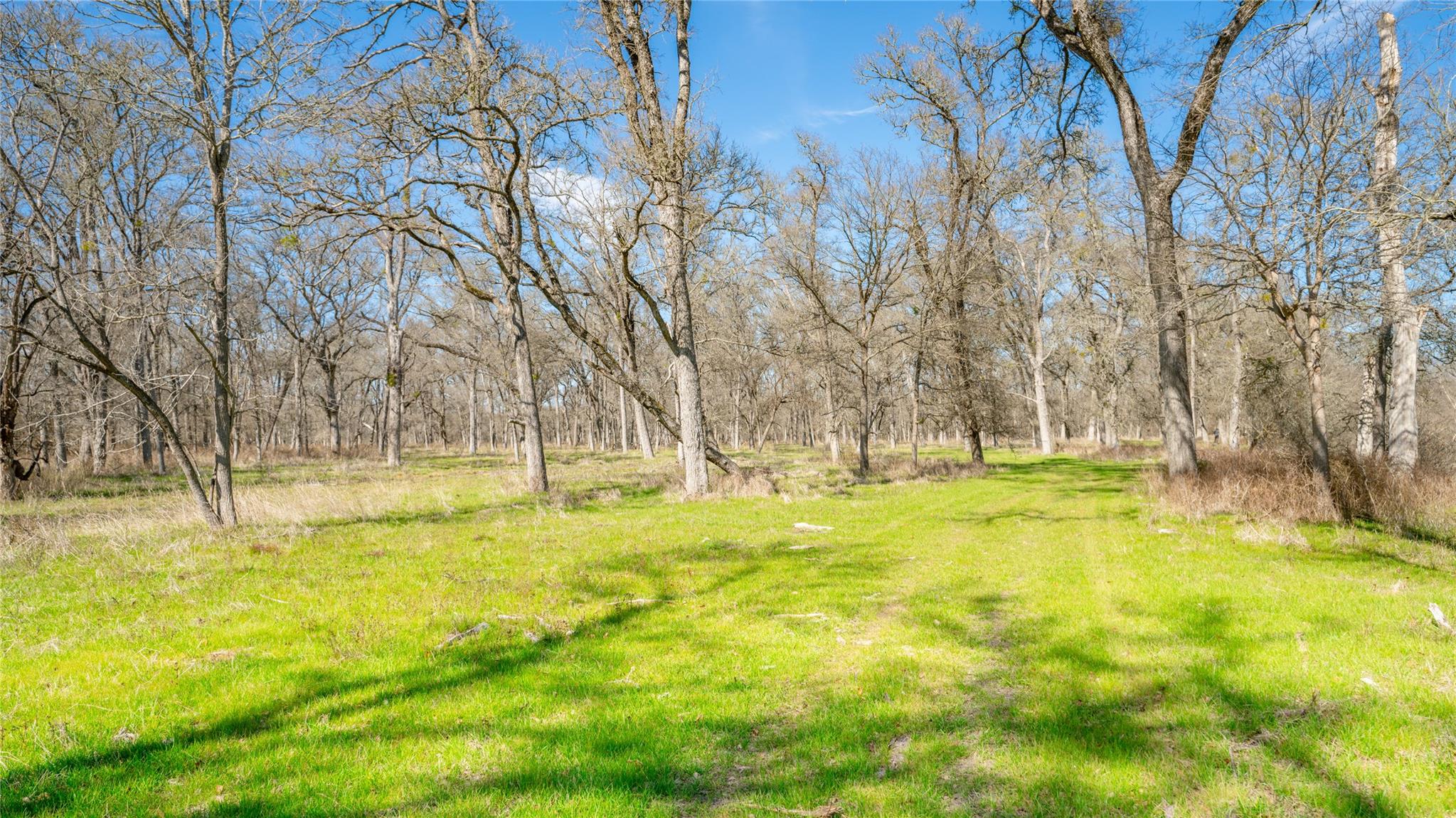0000-B CR 219, Cameron, TX 76520