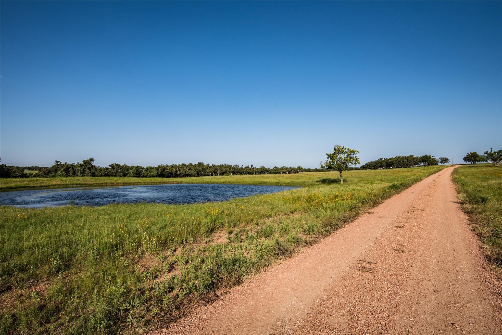 12350 N Hwy 16 Highway, Fredericksburg, TX 78624