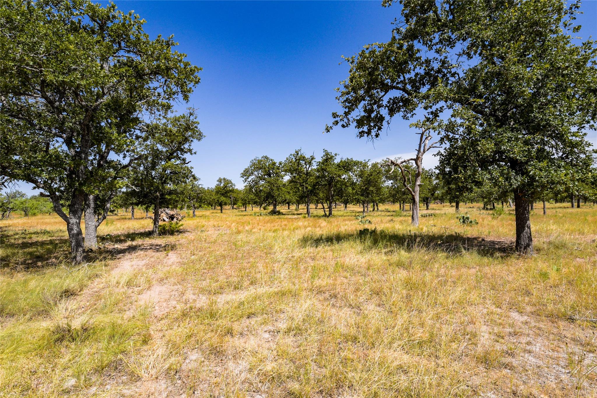 12350 N Hwy 16 Highway, Fredericksburg, TX 78624