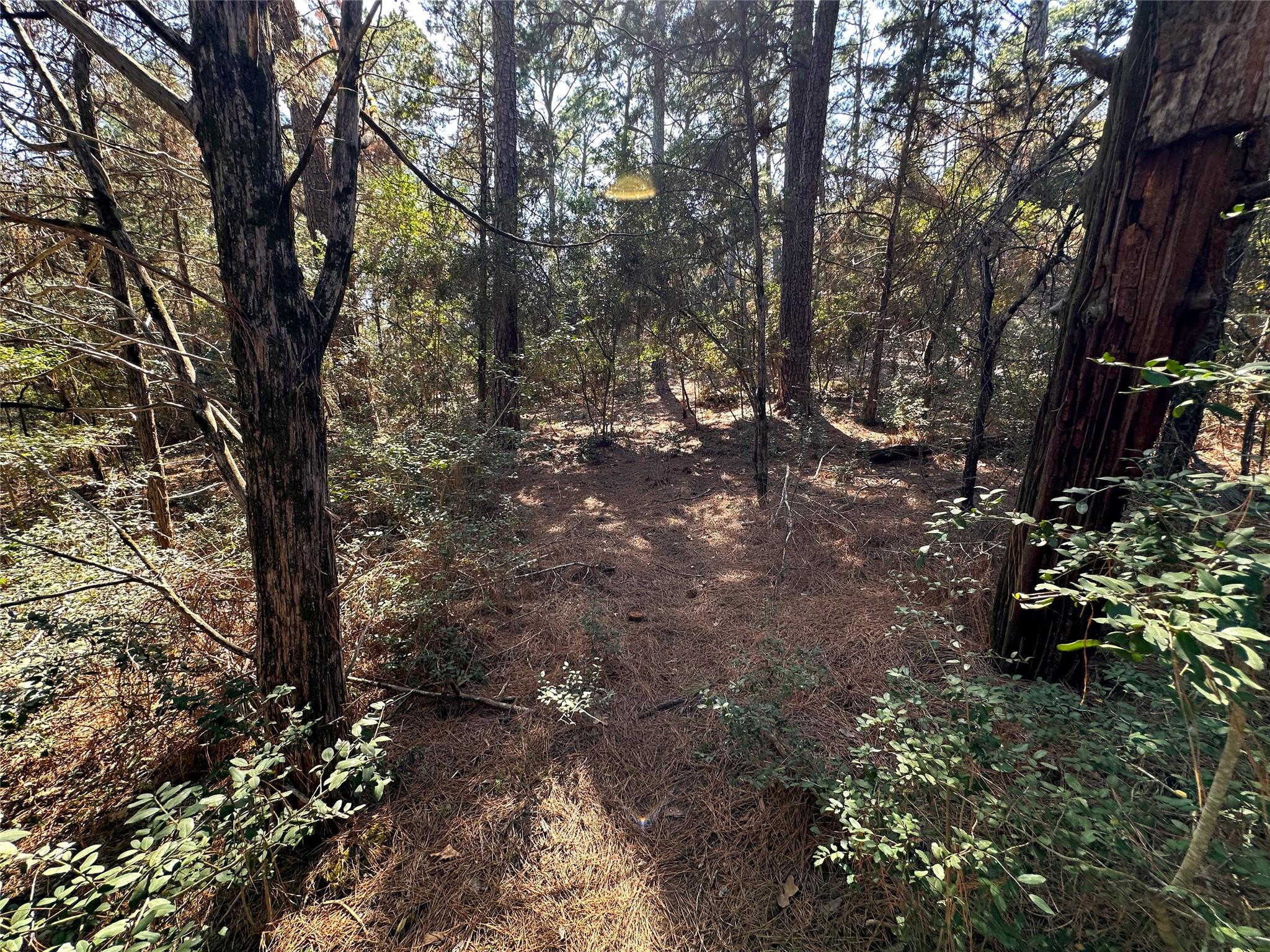 TBD Hula Ln, Bastrop, TX 78602