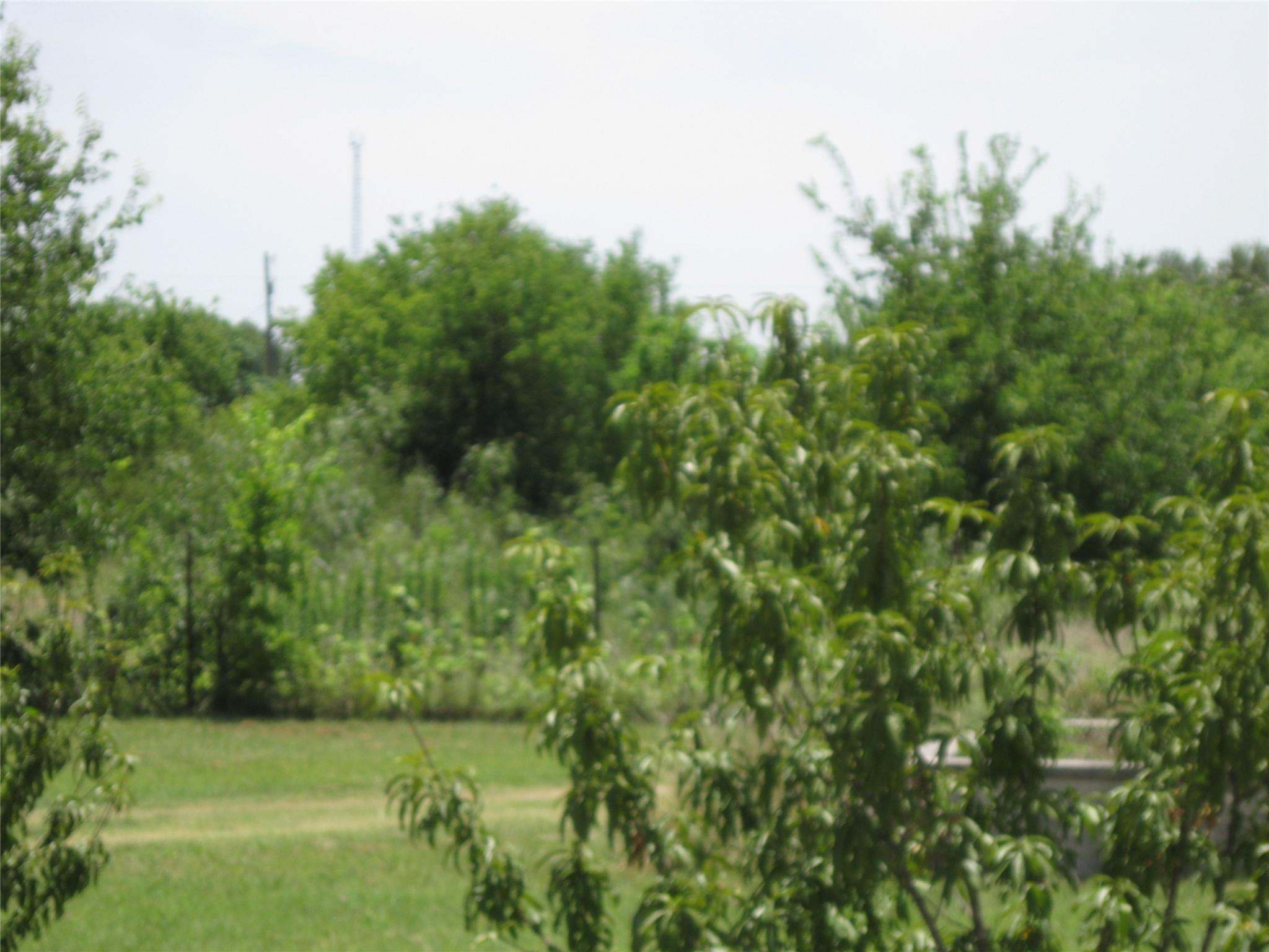 3350 County Road 100 Rd, Hutto, TX 78634