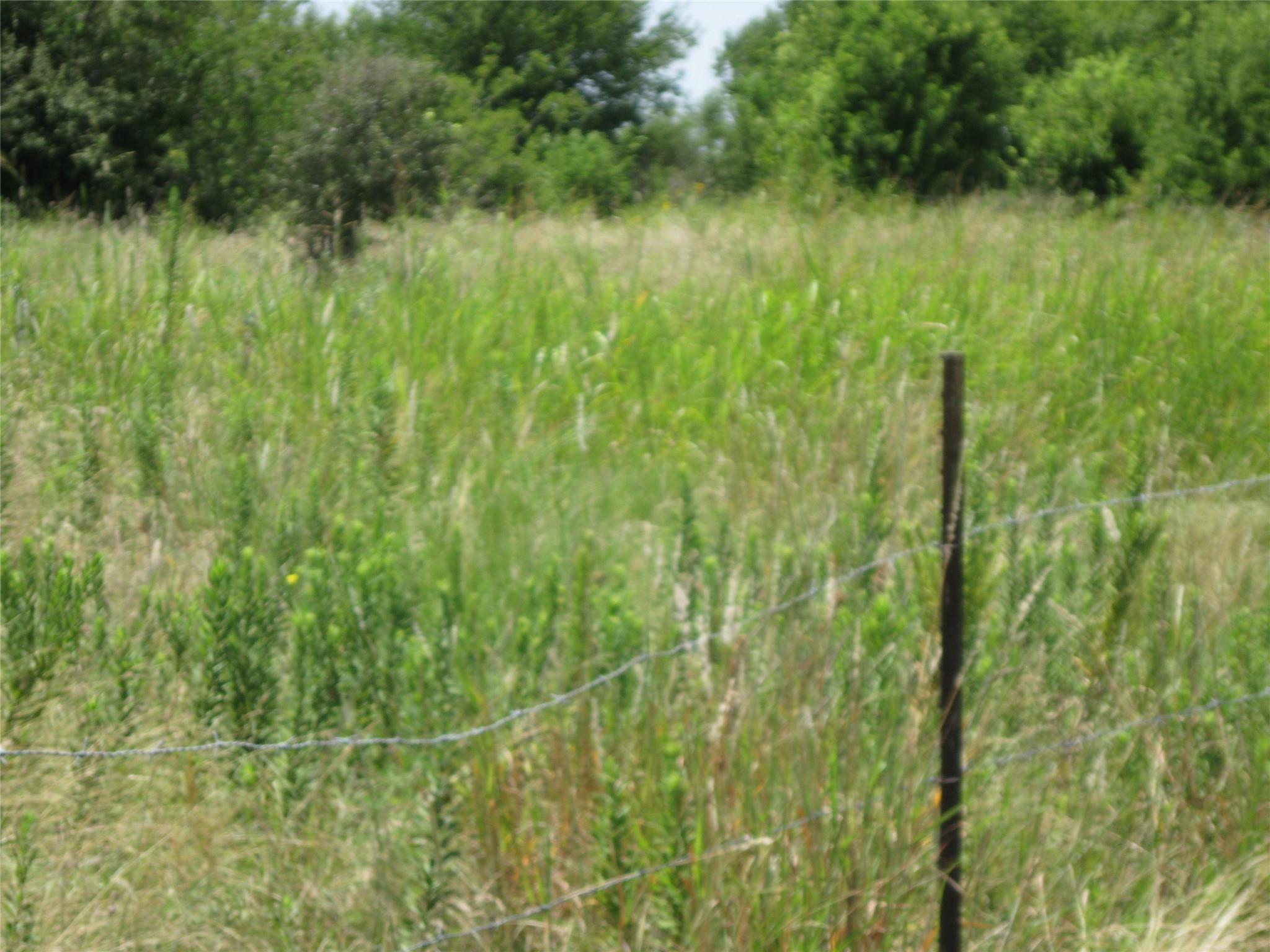 3350 County Road 100 Rd, Hutto, TX 78634