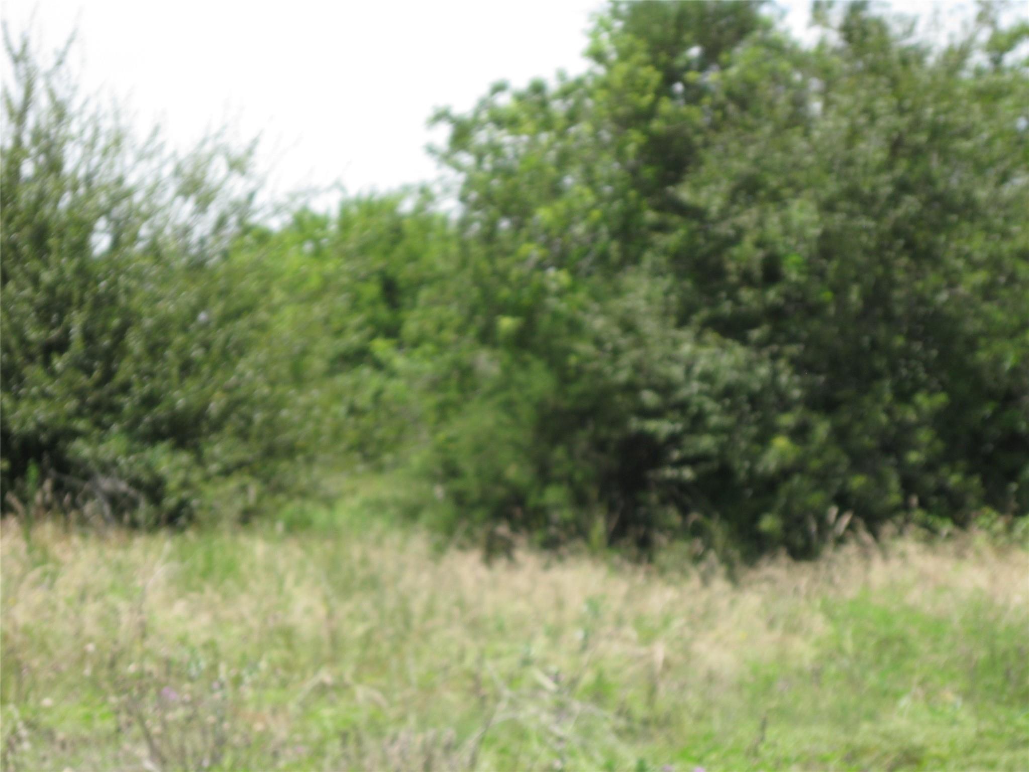 3350 County Road 100 Rd, Hutto, TX 78634