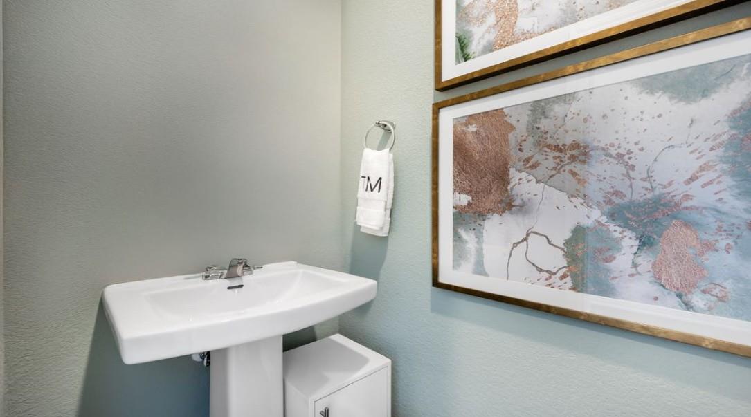463 Breccia Trl, Liberty Hill, TX 78642