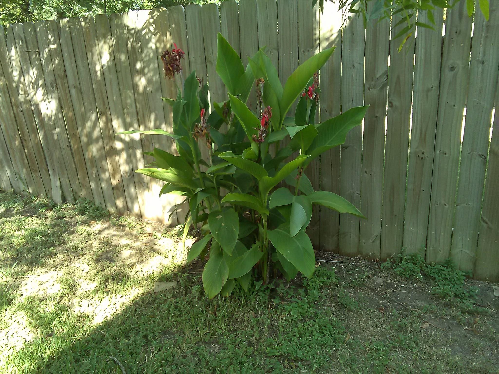 1110 Mountain View Dr, Pflugerville, TX 78660