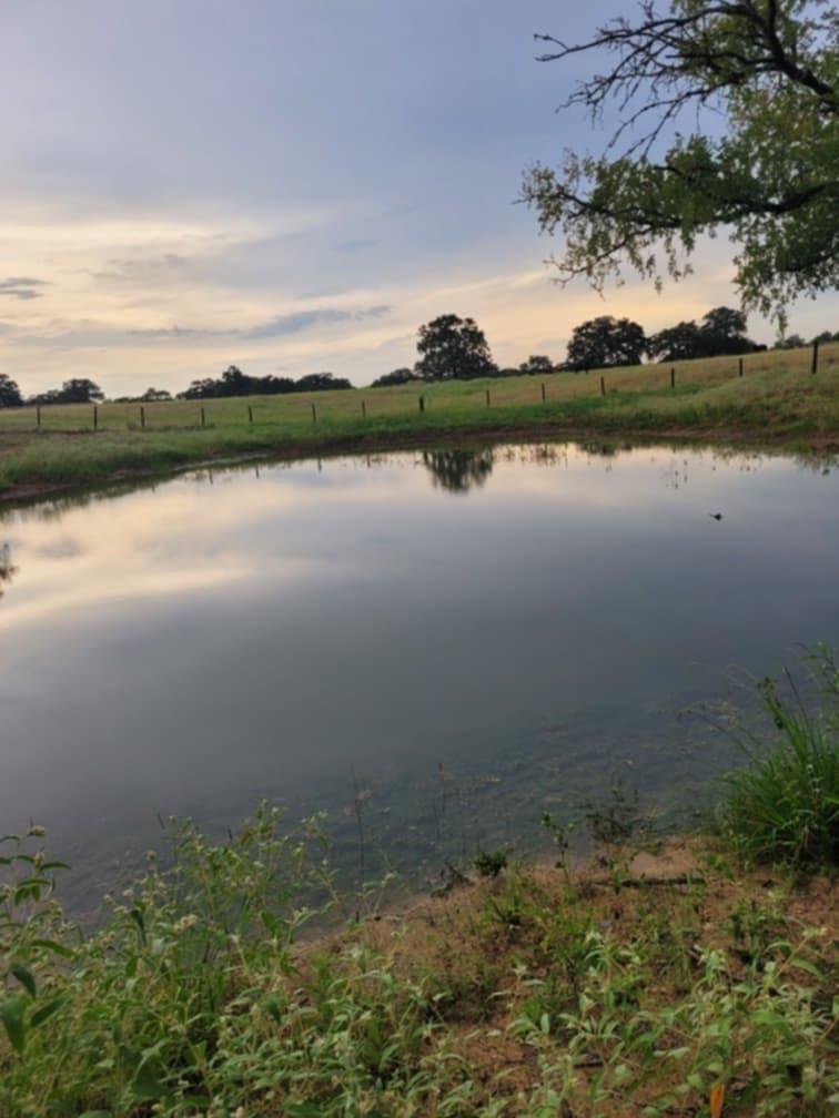 1065 Private Road 7041, Elgin, TX 78621