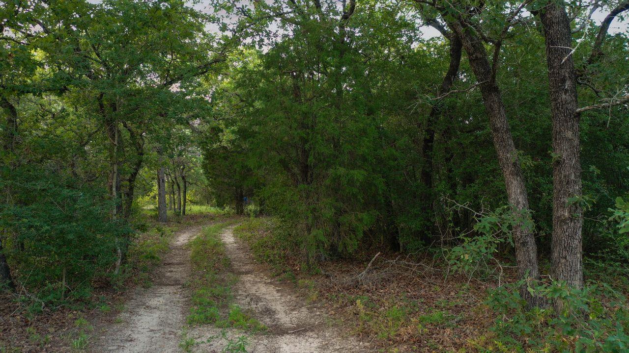 164 Ragtime Ranch Rd, Elgin, TX 78621