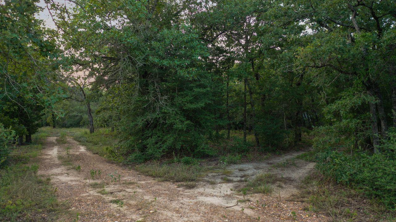 164 Ragtime Ranch Rd, Elgin, TX 78621