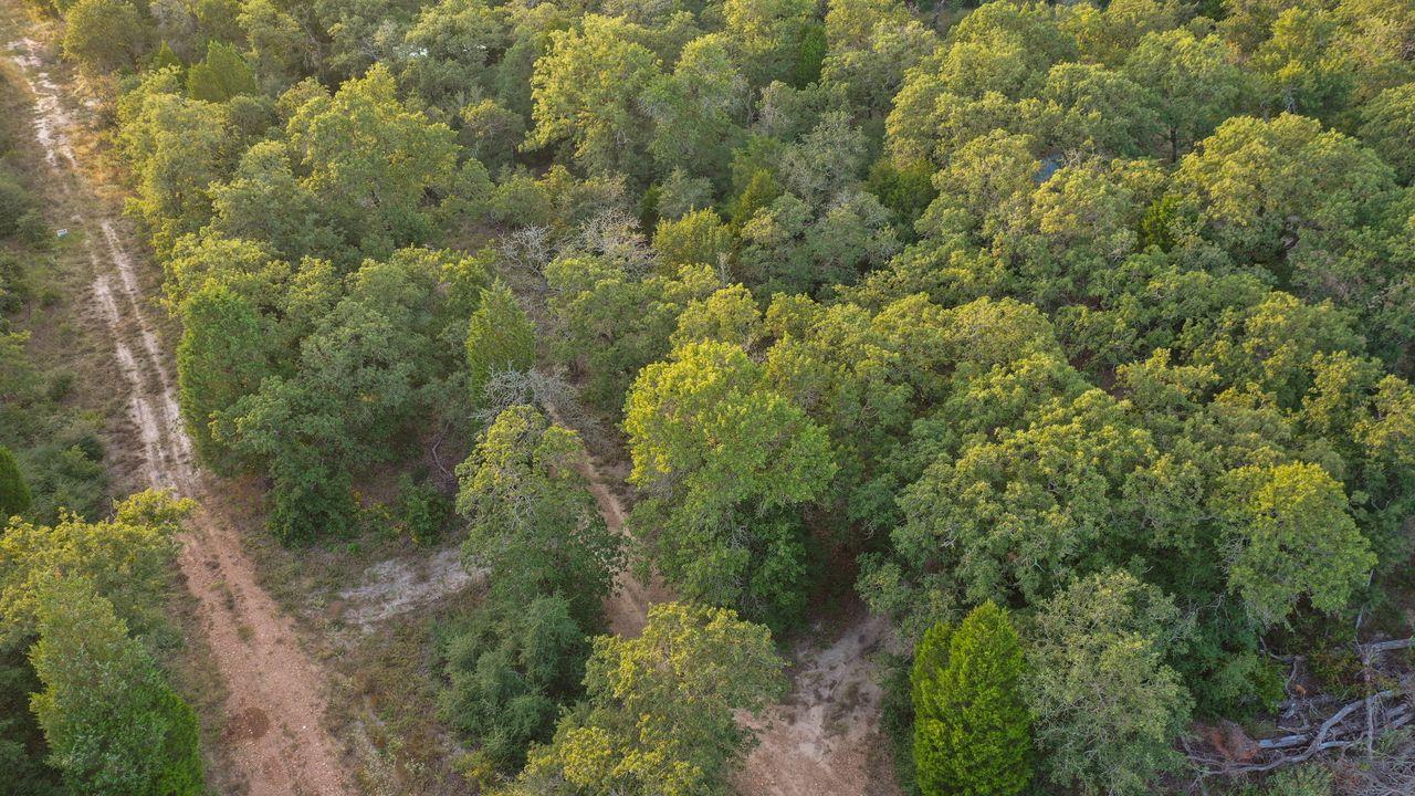 164 Ragtime Ranch Rd, Elgin, TX 78621