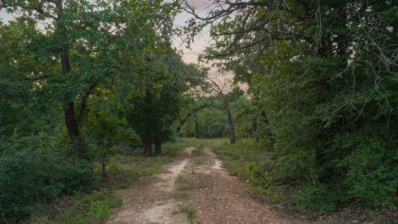 164 Ragtime Ranch Rd, Elgin, TX 78621